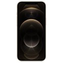 Apple iPhone 12 Pro Max 128GB Złoty Gold